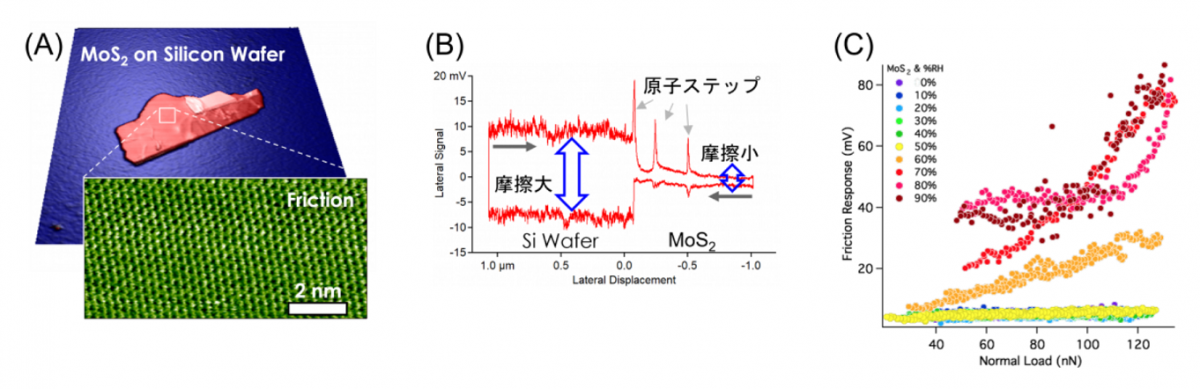 二硫化モリブデン(MoS2)の局所摩擦特性