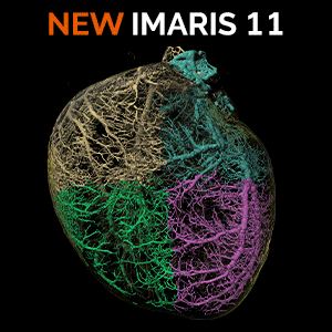 Imaris11